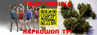 шишки Коммунар
