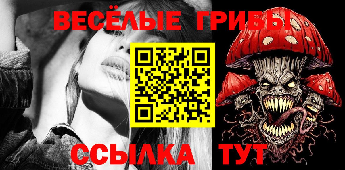 Псилоцибиновые грибы GOLDEN TEACHER Ярцево