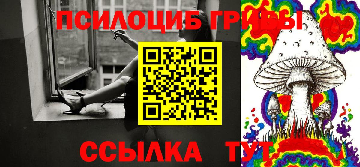 Ярцево  Псилоцибиновые грибы Psilocybe  Вход с VPN  Псилоцибиновые грибы Psilocybe 